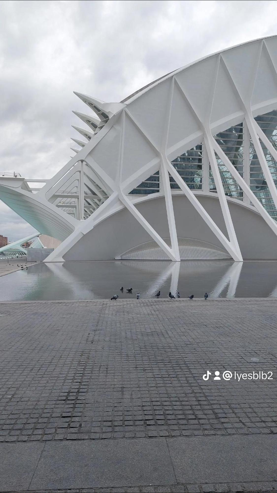 Lyesblb Valência Exterior foto